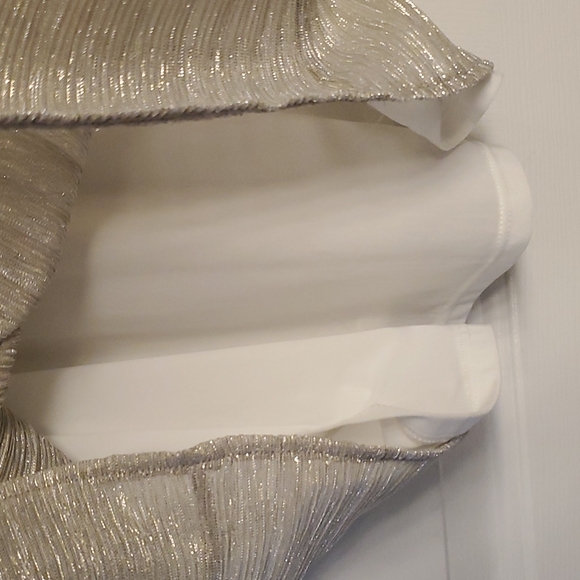 NWT Silver Flounce Halter from WHBM - Picture 7 of 9